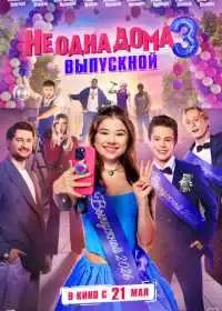 Постер фильма Не одна дома 3. Выпускной